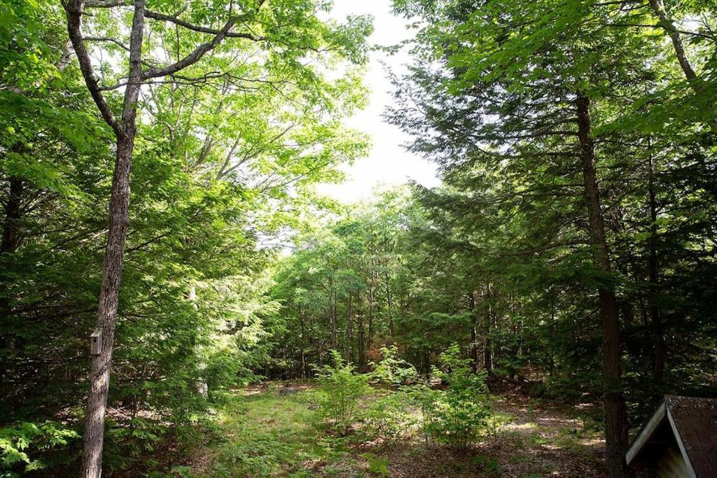 Look To The Mountains: Gunstock Acres Log Cabin Villa Gilford Exterior photo